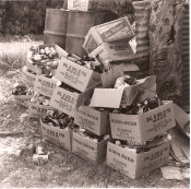 Quinn, No. 0025 A Pile Of Kirin Beer Boxes